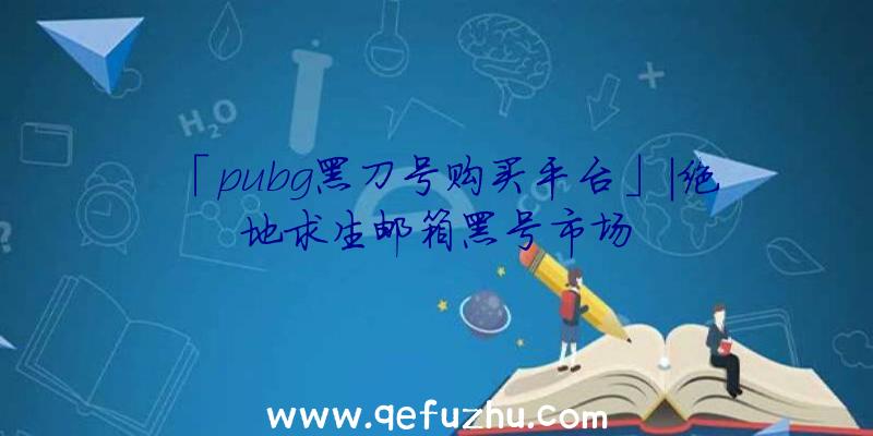 「pubg黑刀号购买平台」|绝地求生邮箱黑号市场